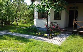 Boutigue City House With Terrace And Garden Free Parking